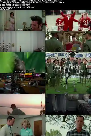 Forrest Gump 1994 BluRay Hindi Dual Audio 720p 480p Download