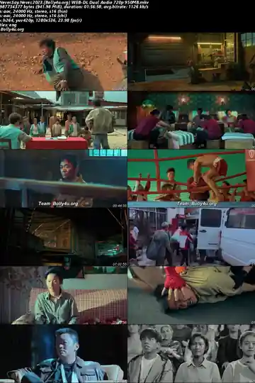Never Say Never 2023 WEB-DL Hindi Dual Audio ORG Full Movie Download 1080p  720p  480p