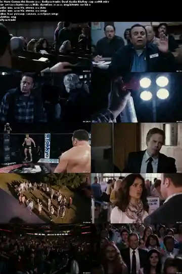 Here Comes the Boom 2012 BluRay 350Mb Hindi Dual Audio 480p Download