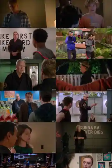 Cobra Kai 2021 WEB-DL 1.1Gb Hindi Dual Audio S04 Download 480p