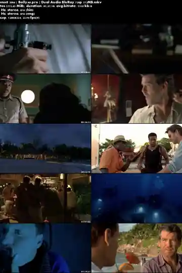 After The Sunset 2004 BluRay 300Mb Hindi Dual Audio 480p Download