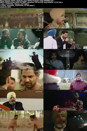 Rang Panjab 2018 HDTV 300MB Punjabi 480p Download
