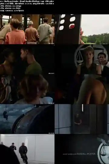 Insurgent 2015 BluRay 400MB Full Hindi Dual Audio Movie Download 480p Download