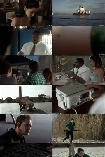 Zombie Shark 2015 BRRip 300Mb UNRATED Hindi Dual Audio 480p Download