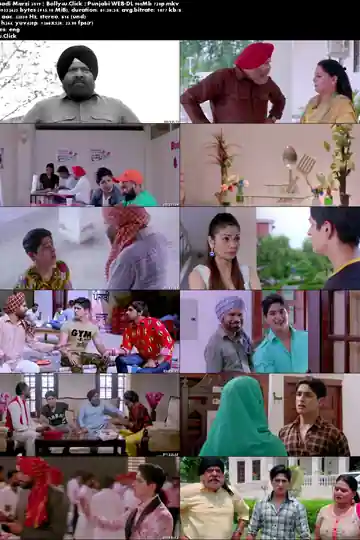 Saadi Marzi 2019 WEB-DL 900MB Punjabi 720p Download