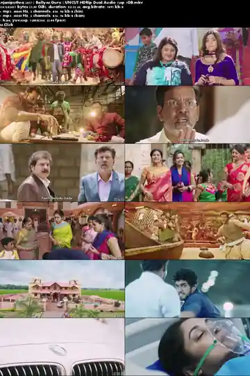 Anjaniputhra 2017 HDRip 450MB UNCUT Hindi Dual Audio 480p Download