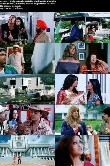 Paying Guests 2009 DTHRip 350Mb Full Hindi Movie Download 480p