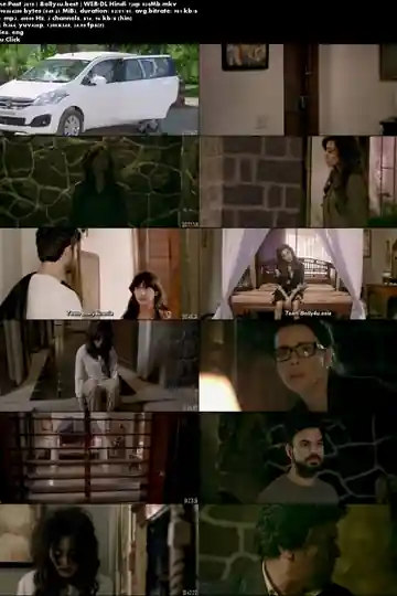 The Past 2018 WEB-DL 300MB Hindi 480p Download