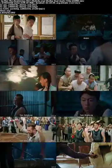 IP Man The Awakening 2021 BluRay Hindi Dual Audio Full Movie Download 1080p  720p  480p