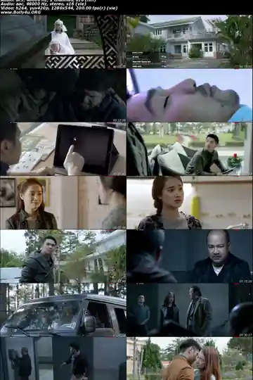 Lôi Báo 2017 HDTV 400MB Hindi Dual Audio 480p Download Lôi Báo 2017 HDTV 400MB Hindi Dual Audio 480p Download
