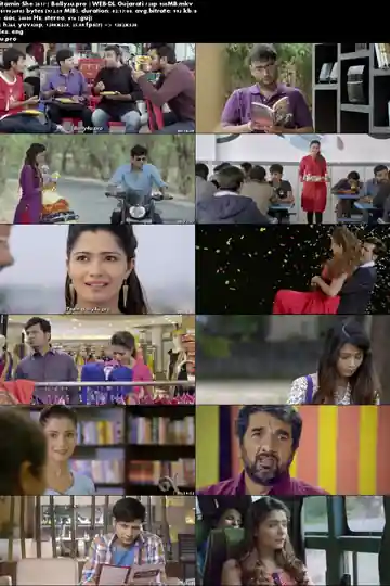 Vitamin She 2017 WEB-DL 400MB Gujarati 480p Download