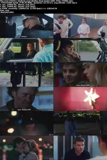 The 2nd 2020 BluRay 300Mb Hindi Dual Audio ORG 480p Download