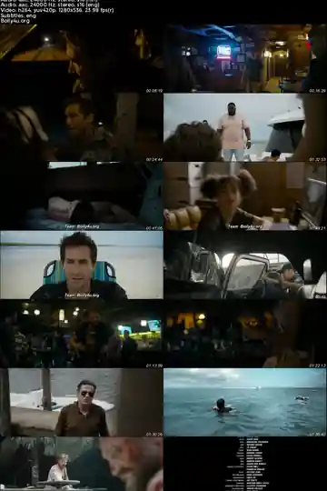 Road House 2024 WEB-DL Hindi Dual Audio ORG Full Movie Download 1080p  720p  480p