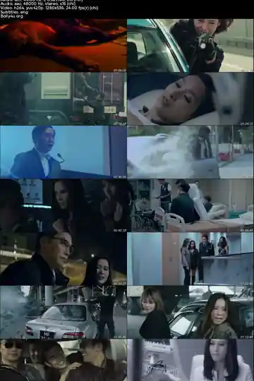 The Fatal Raid 2019 BluRay Hindi Dual Audio Full Movie Download 720p  480p