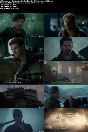 The Expendables 2 2012 BluRay 350Mb Hindi Dual Audio 480p ESub Download