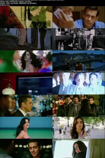 Ek Tha Tiger 2012 WEB-DL Hindi Full Movie Download 1080p  720p  480p