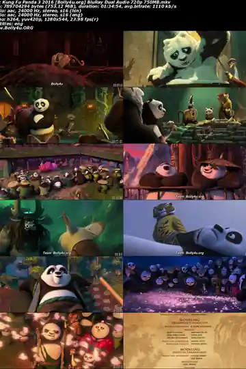 Kung Fu Panda 3 2016 BluRay Hindi Dual Audio ORG Full Movie Download 1080p  720p  480p