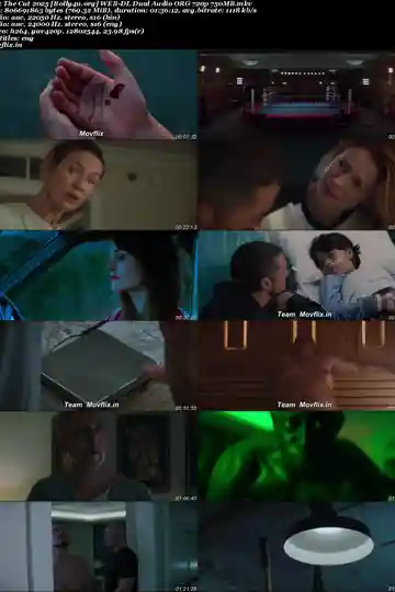 The Cut 2025 WEB-DL Hindi Dual Audio ORG Full Movie Download 1080p  720p  480p