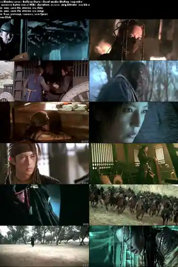 14 Blades 2010 BluRay 300Mb Hindi Dual Audio 480p Download