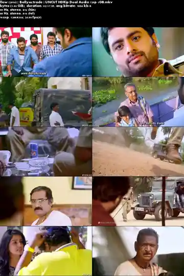 Rowdy Fellow 2014 HDRip 1GB UNCUT Hindi Dual Audio 720p Download
