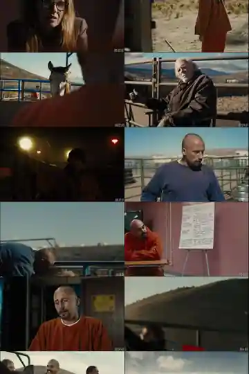 The Mustang 2019 BluRay 800Mb Hindi Dual Audio ORG 720p ESub Download