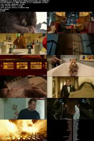 Paddington 2014 BluRay 300Mb Hindi Dual Audio 480p Download