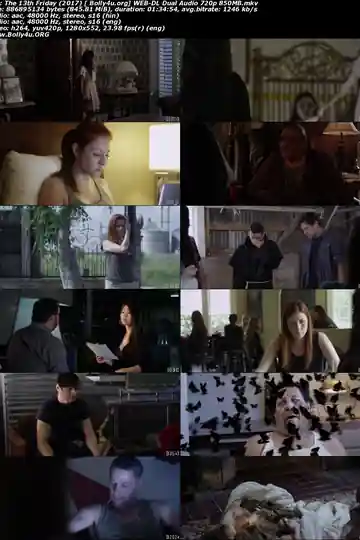 The 13th Friday 2017 WEB-DL Hindi Dual Audio ORG 720p 480p Download