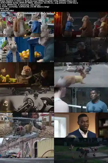 Peter Rabbit 2 2021 HDRip 300MB English 480p ESubs Download