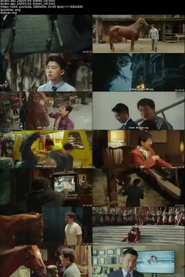 Ride On 2023 BluRay Hindi Dual Audio ORG Full Movie Download 1080p  720p  480p