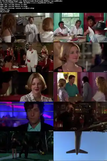 The Wedding Singer 1998 BluRay 600MB Hindi Dual Audio 720p Download
