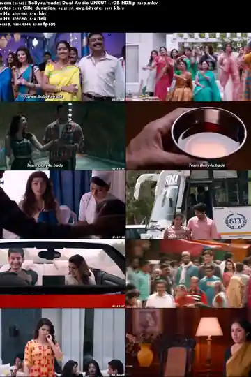 Brahmotsavam 2016 HDRip 450MB UNCUT Hindi Dual Audio 480p Download Brahmotsavam 2016 HDRip 450MB UNCUT Hindi Dual Audio 480p Download