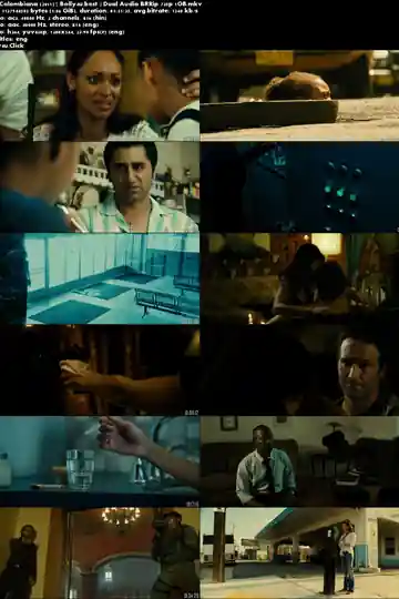 Colombiana 2011 BRRip 300MB Hindi Dual Audio 480p Download