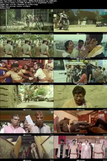 Tiger Galli 2019 HDRip 800Mb Hindi Dubbed 720p Download