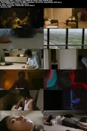 Roommate 2021 WEB-DL 300Mb Hindi Dubbed 480p Download