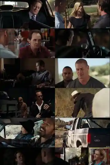 The Reunion 2011 BluRay 300Mb Hindi Dual Audio ORG 480p Download