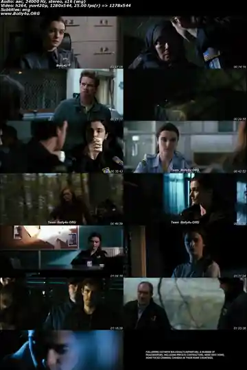 The Whistleblower 2011 WEB-DL 800MB Hindi Dual Audio 720p Download