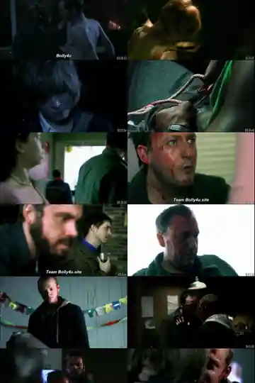The Signal 2007 BRRip 800Mb Hindi Dual Audio 720p Download