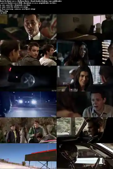 Born To Race 2011 BluRay 300Mb Hindi Dual Audio 480p Download