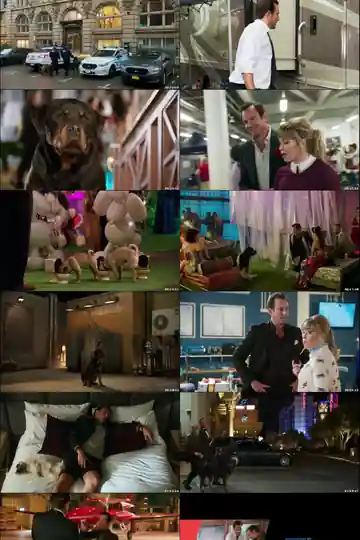 Show Dogs 2018 BluRay 300Mb Hindi Dual Audio 480p Download
