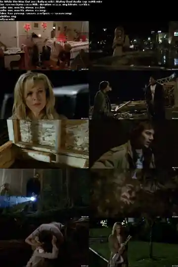 While She Was Out 2008 BluRay 250MB Hindi Dual Audio 480p Download