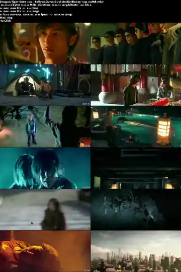 Dragon Tiger Gate 2006 BRRip 300Mb Hindi Dual Audio 480p Download