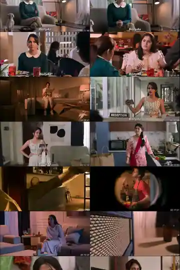 Miss Perfect 2024 WEB-DL Hindi S01 Complete Download 720p  480p