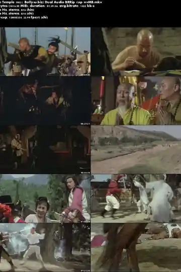The Shaolin Temple 1982 BRRip 999Mb Hindi Dual Audio 720p Download