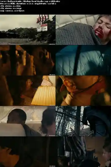 Stake Land 2010 BluRay 300MB Hindi Dual Audio 480p Download
