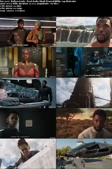 Black Panther 2018 BRRip 999MB Hindi Dual Audio 720p ESub Download