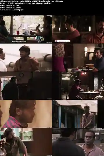 Vikram Vedha 2017 HDRip 400MB UNCUT Hindi Dual Audio 480p Download