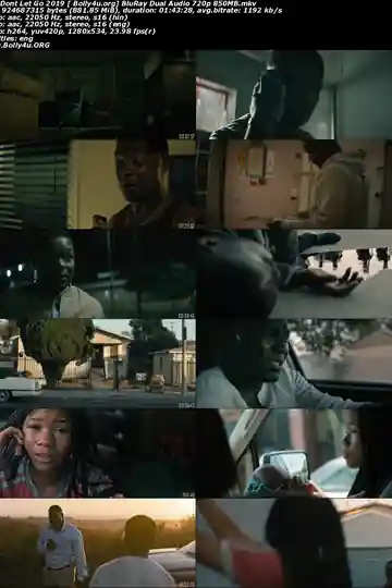 Dont Let Go 2019 BluRay 300Mb Hindi Dual Audio 480p Download