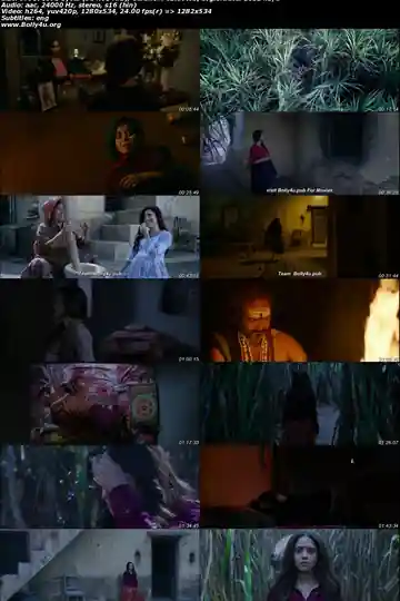 Chhorii 2021 WEB-DL Hindi Full Movie Download 1080p  720p  480p