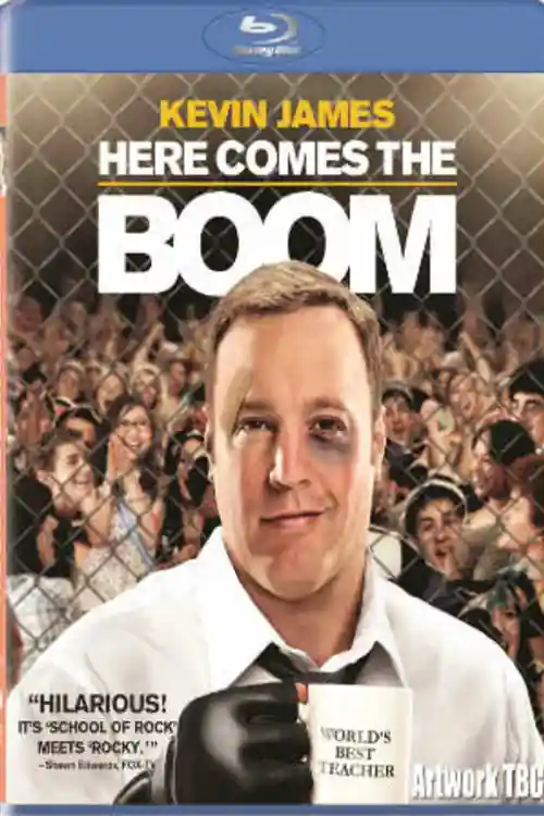 Here Comes the Boom 2012 BluRay 350Mb Hindi Dual Audio 480p Watch Online Full Movie Download bolly4u