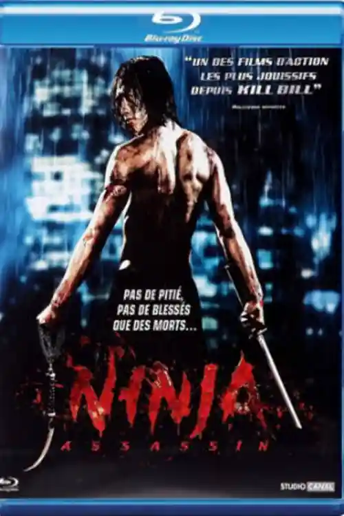 Ninja Assassin 2009 BRRip 300MB Hindi Dual Audio 480p Watch Online Full Movie Download bolly4u